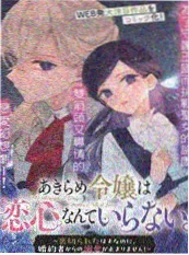 海边的收集者 动画封面